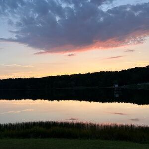 Meet your Posher, Ellie